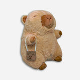 CIPIBARA MD