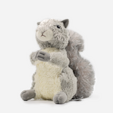 ARDILLA GRIS MF8