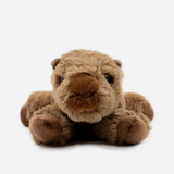 CAPIBARA MF8