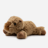 CAPIBARA MF8