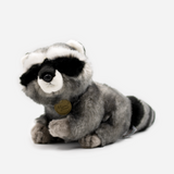 MAPACHE M10