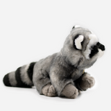 MAPACHE M10