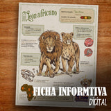 GUARDIAN LEON COLMILLOS DE PLATINO