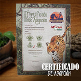 GUARDIAN JAGUAR COLMILLOS DE PLATINO