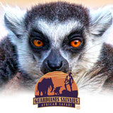 GUARDIAN LEMUR COLMILLOS DE PLATINO