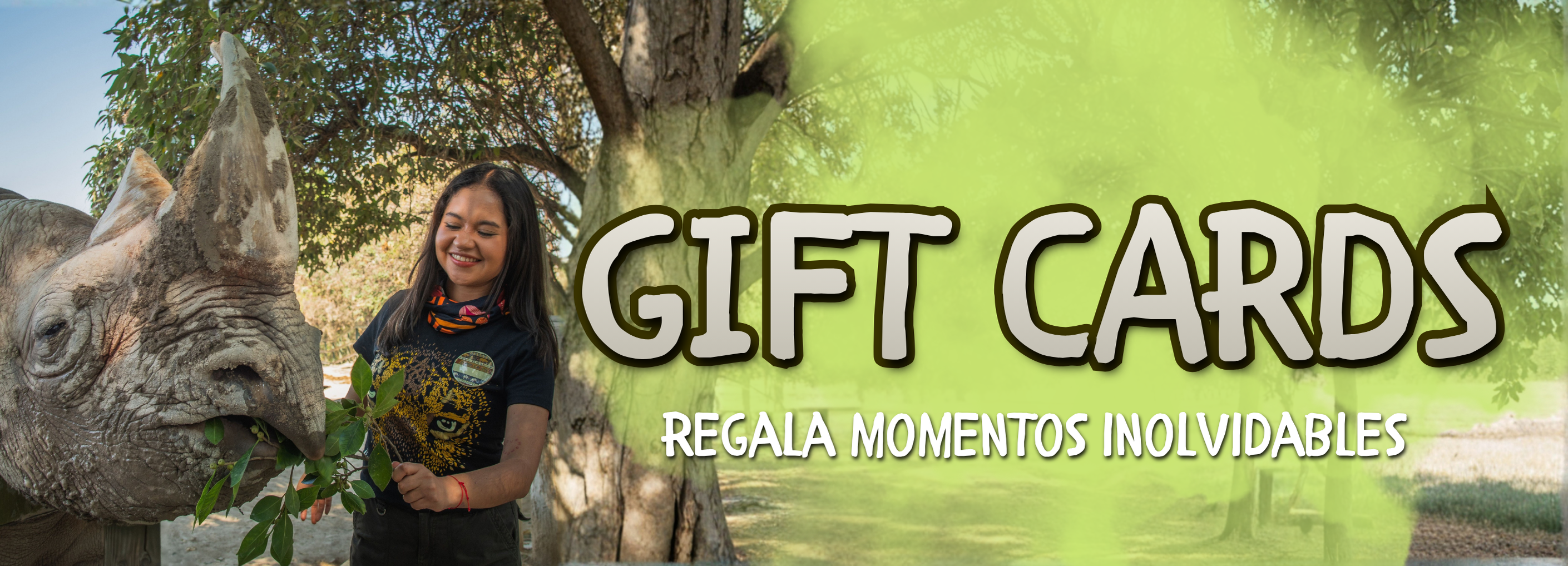 GIFT CARDS