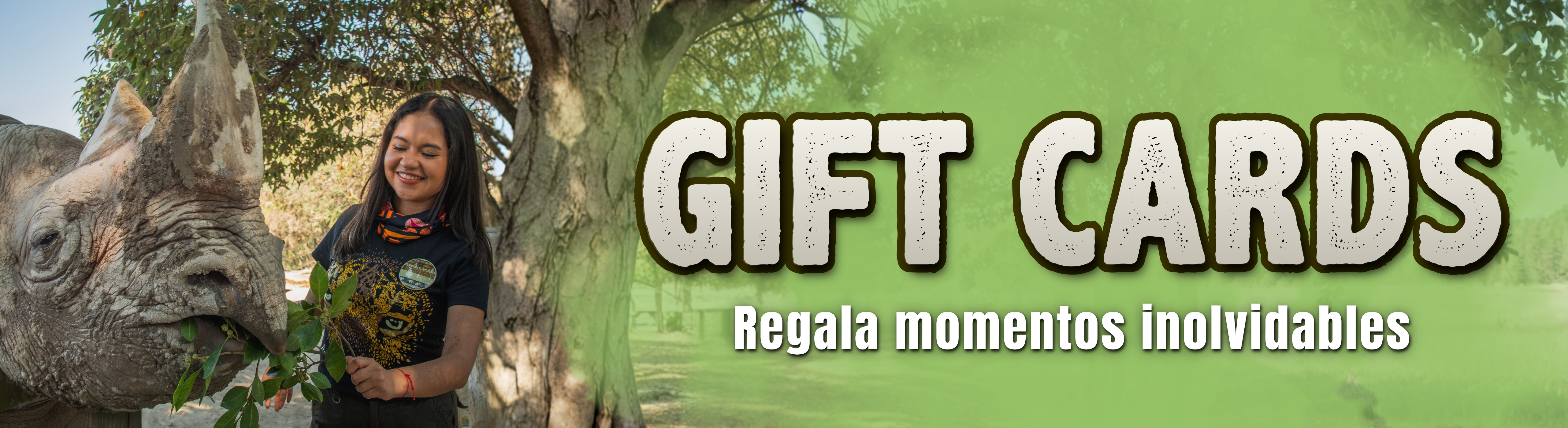 GIFT CARDS