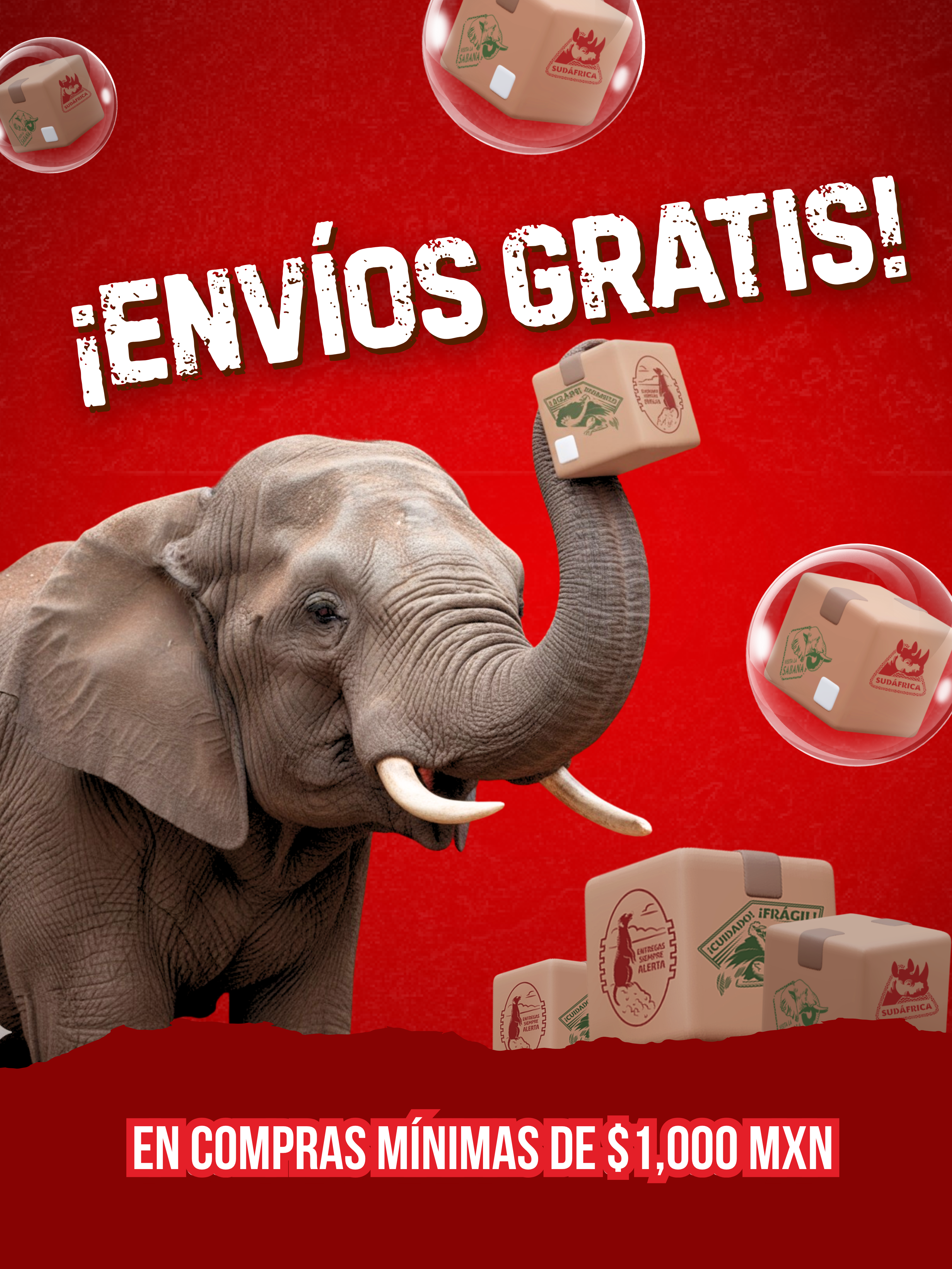 Imagen de diapositiva