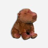 CAPIBARA SENTADO