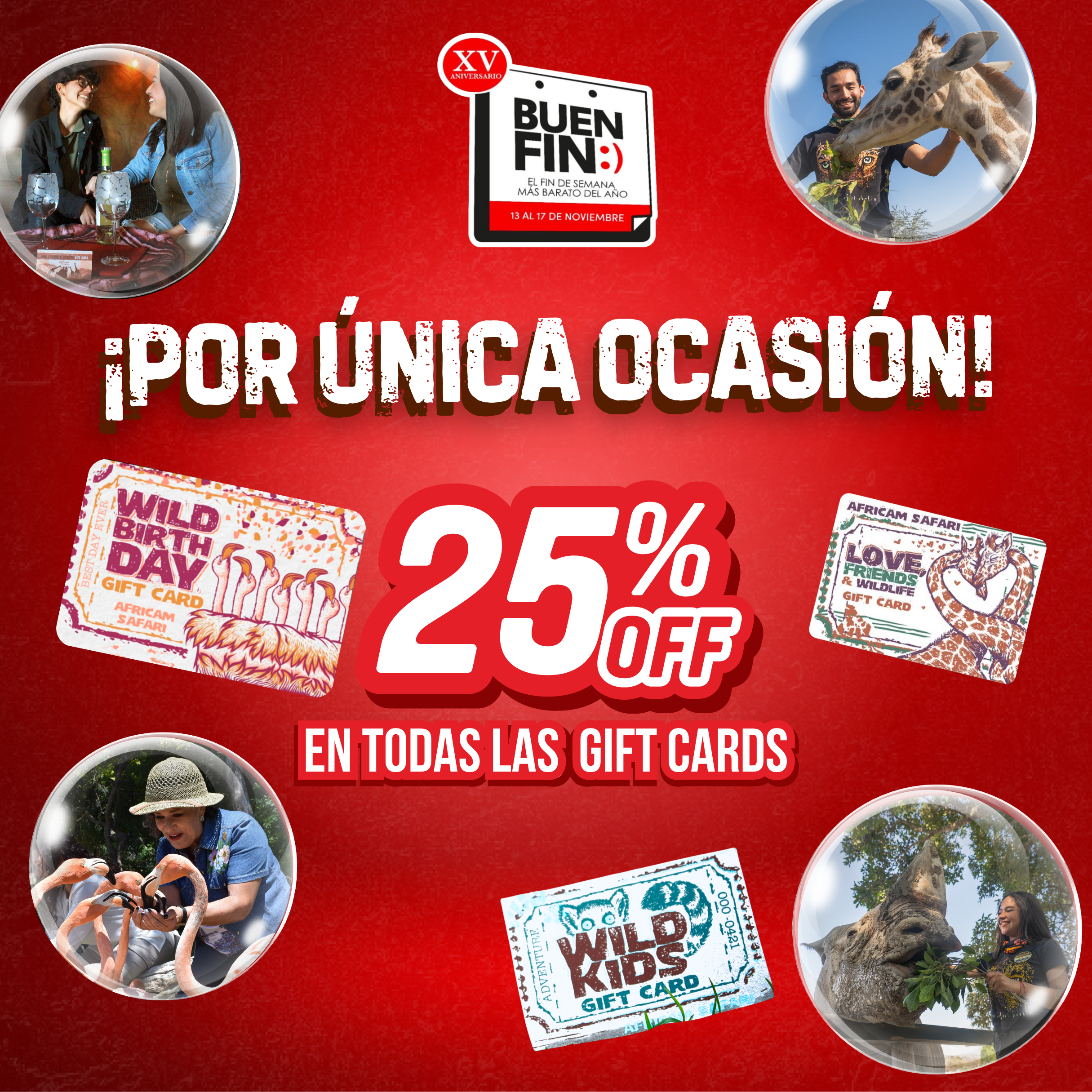 Imagen de diapositiva