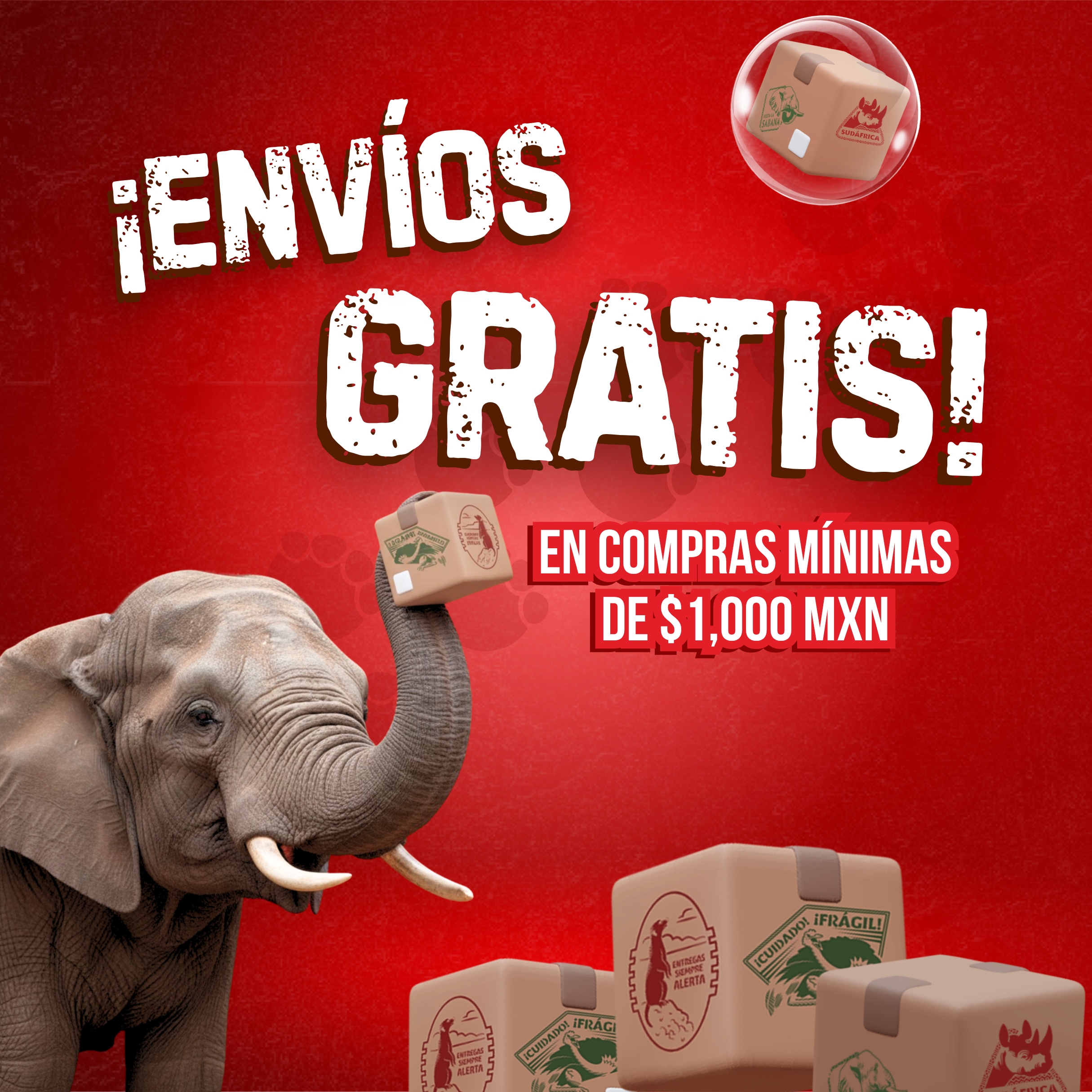 Imagen de diapositiva