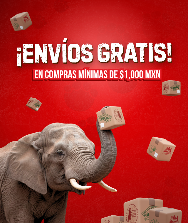 Imagen de diapositiva