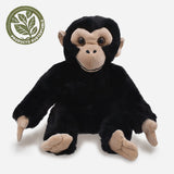 CHIMPANCE ECO