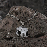 SET JOYERIA ELEFANTE