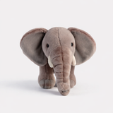 ELEFANTE AFRICANO M12