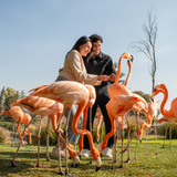 LOVE, FRIENDS & WILDLIFE