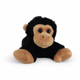 CHIMPANCE MF8