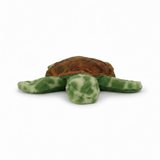 TORTUGA MF