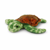 TORTUGA MF