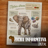 GUARDIAN ELEFANTE ALAS DE PLATA