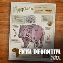 Cargar imagen en el visor de la galería, GUARDIAN HIPOPOTAMO ALAS DE PLATA
