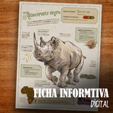 GUARDIAN RINOCERONTE ALAS DE PLATA