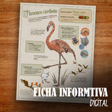 GUARDIAN FLAMENCO COLMILLOS DE PLATINO