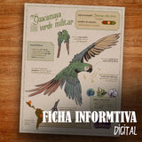 GUARDIAN GUACAMAYA COLMILLOS DE PLATINO