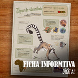 GUARDIAN LEMUR COLMILLOS DE PLATINO