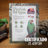 GUARDIAN GUACAMAYA COLMILLOS DE PLATINO