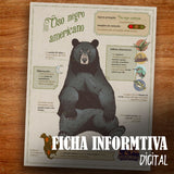 GUARDIAN OSO ASTAS DE BRONCE