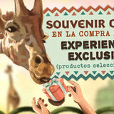 EXPLORER PASSPORT