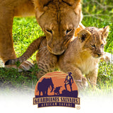 GUARDIAN LEON COLMILLOS DE PLATINO