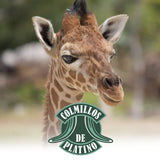 GUARDIAN JIRAFA COLMILLOS DE PLATINO
